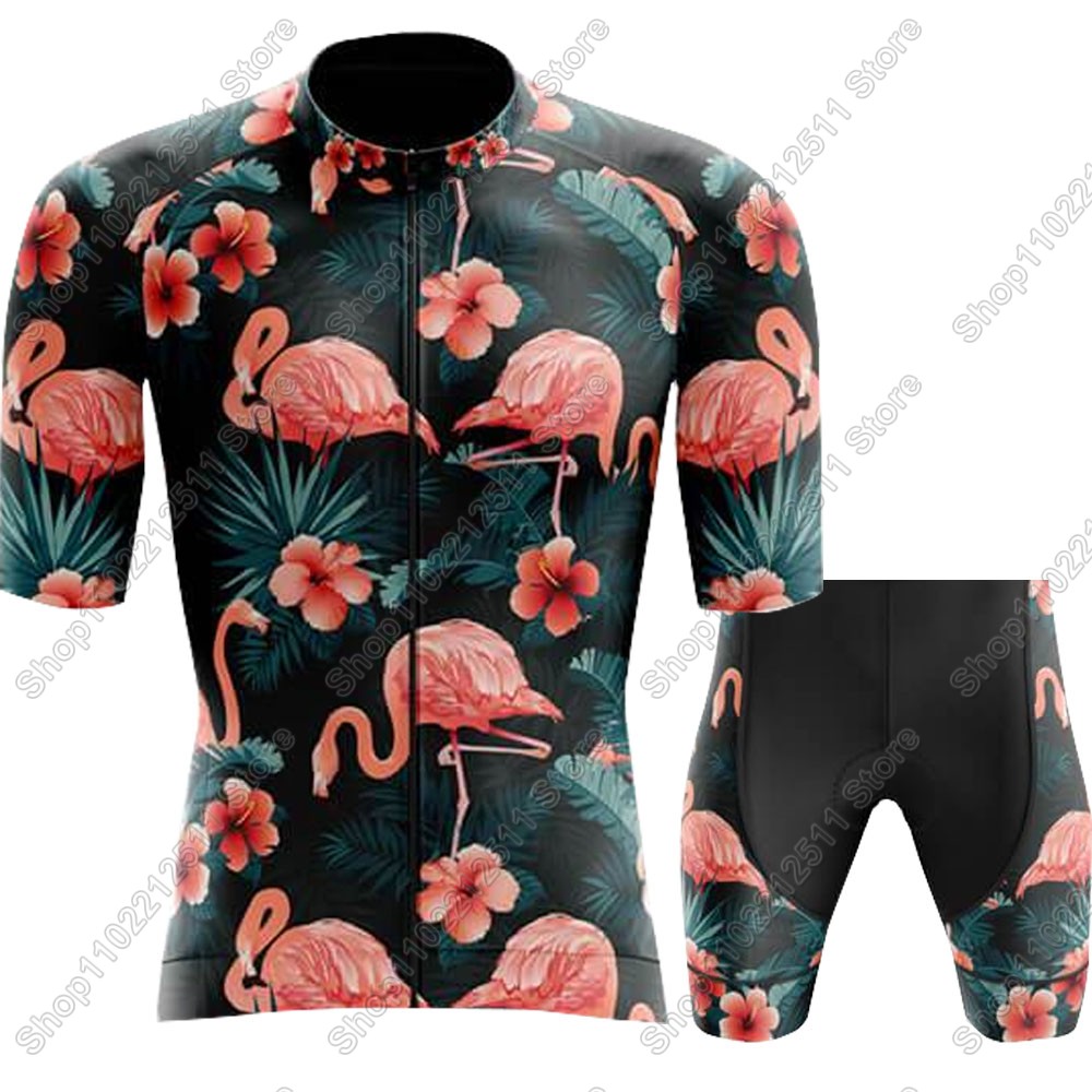 2025 Flamingo Cycling Jersey S - огляд і ціна Cycling Gear Brands